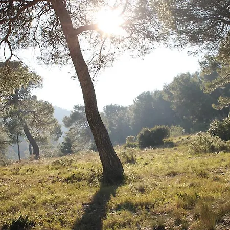 Les Mazets De Pascale * Saint-Rémy-de-Provence
